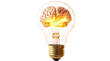 Brain generating electric energy inside light bulb with transparent background