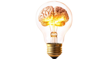 Brain generating electric energy inside light bulb with transparent background