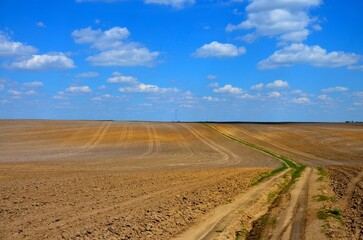 Naklejka premium Scenic view of agricultural field against clear sky