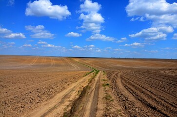 Obraz premium Scenic view of agricultural field against clear sky