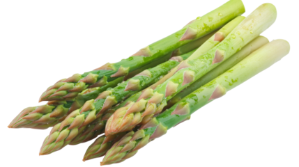 Fresh green asparagus spears showing tips on transparent background