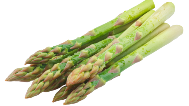 Fresh green asparagus spears showing tips on transparent background