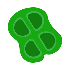 Fototapeta premium Microcystis