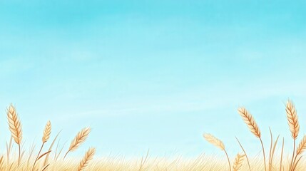 Golden Wheat Field Under Clear Blue Sky