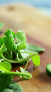 Fresh herbs and sliced cucumber on chopping board