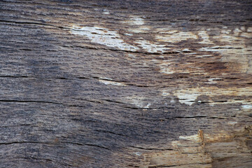 brown grey wood texture background, Design backdrop wallpaper