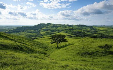 Fototapeta premium Rolling Green Hills Under a Blue Sky With a Lone Tree