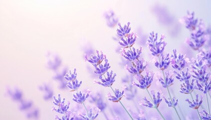 Naklejka premium Heavy grain textures intensify the bold, vibrant look of bright coral and soft lemon gradients.