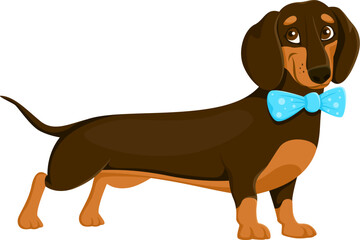 Dachshund dog pet cartoon funny character. Dog friend cartoon cute personage, puppy companion isolated vector funny character. Dachshund dog pet happy mascot or funny character wearing blue bow tie