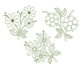 Aesthetic Elegant Floral Handrawn Vector