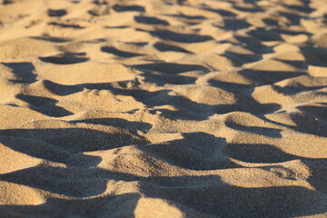 Foot Prints in the Sand