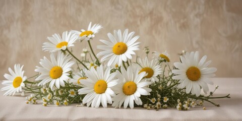 A delicate bouquet of pristine white daisies, their bright yellow centers contrasting beautifully against a soft, neutral backdrop, rests gently on a subtly textured surface.