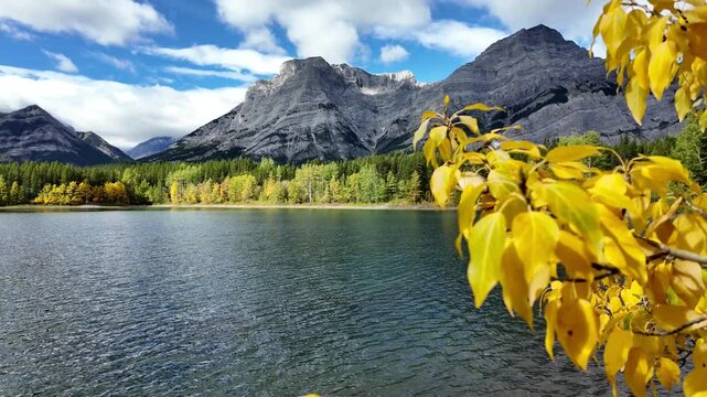 Wedge pond in autumn | Kananaskis, Alberta, Canada
