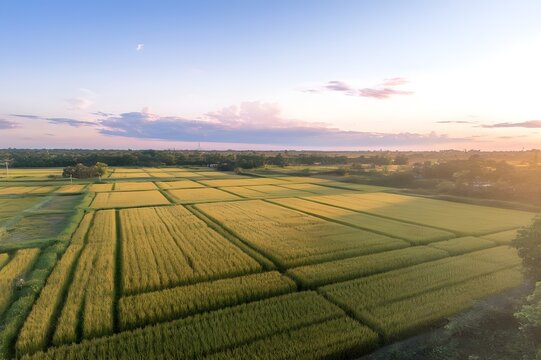 Patterned Landscapes.Aerial View of a Lush Field.