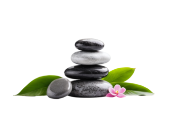 zen stones and green leaf