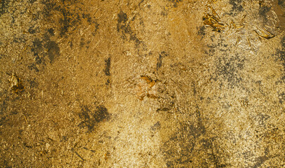Shiny gold foil abstract texture background. Golden wall backdrop with distressed finish for luxury design.