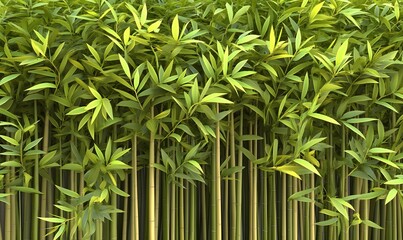 Lush green bamboo forest background; nature texture for design