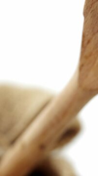 Close-up of raw pasta with wooden spoon