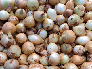 Group of onion selling in market
