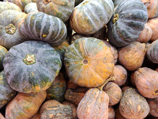 Group of pumkin selling in market