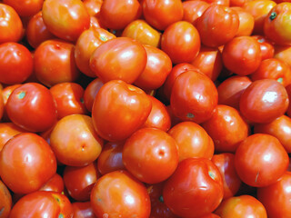 Group of tomatoes selling in market