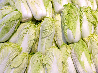 Group of napa cabbage selling in market