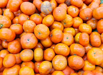 Group of tangerine selling in market
