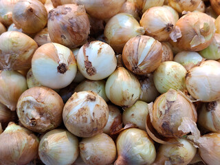 Group of onion selling in market