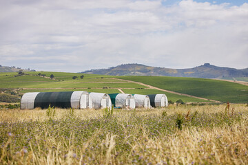 Agriculture, farm or chicken coop in countryside for poultry shelter, protection and empty environment for comfort. Rooster housing, eco friendly field or space for agro production and sustainability