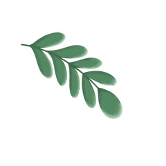 Illustration of a green leaf branch with a minimalistic and modern design. Perfect for botanical themes, nature-inspired projects, eco-friendly branding, and decorative elements in graphic design.