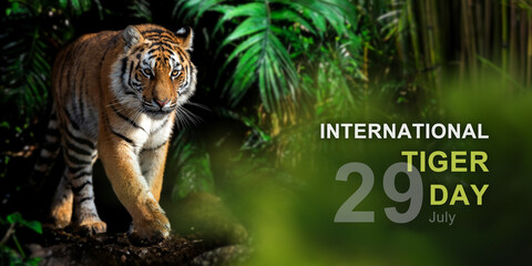 International tiger day