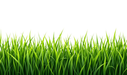 Fototapeta premium Vibrant Green Grass Border Illustration for Design