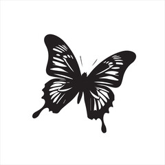 black and white butterfly