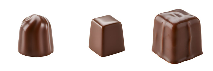 Obraz premium Hazelnut Filled Praline with Glossy Chocolate Coating