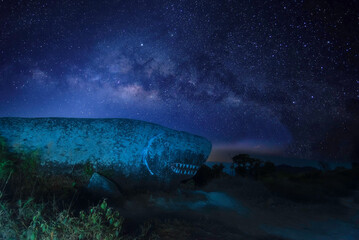 Fototapeta premium The bright stars of the Milky Way in the night sky over