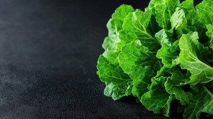 Fresh green lettuce leaves on dark background, healthy food