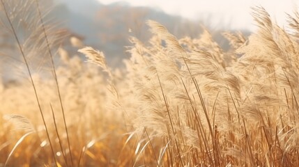 Fototapeta premium Golden reeds swaying gently in the warm afternoon light near the serene lake. Generative AI