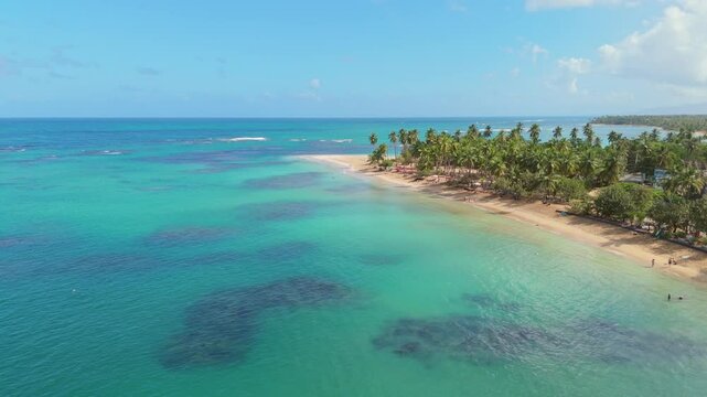Aerial Flight Over Playa Punta Popy, Las Terrenas, Featuring Palm Trees and Crystal-Clear Waters
