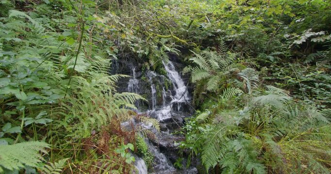 Wide shot of a small waterfall at Melin Court nature reserve
