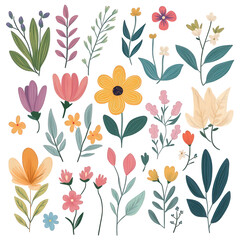 A collection of various blooming flowers