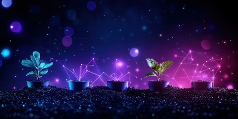 Digital landscape of market-driven innovation in product development