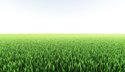 Fototapeta premium Vibrant green grass field extending to a bright white horizon, bright outdoor lighting, summer, nature, landscape, background, texture, horizontal