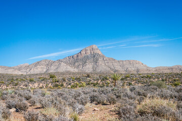 Red Rock Canyon National Conservation Area, mountains