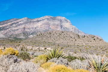 Red Rock Canyon National Conservation Area, Sedimentary Rock Layers