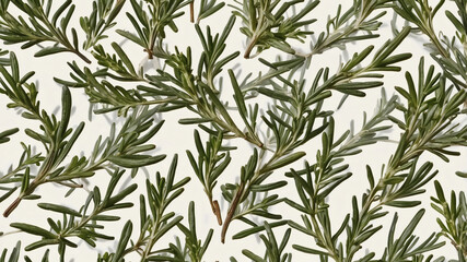 A vibrant collection of rosemary sprigs arranged in a captivating pattern against a neutral backdrop.