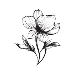 black and white flower