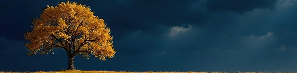 Yellow tree with bare branches against dark sky, cold, sky, peaceful