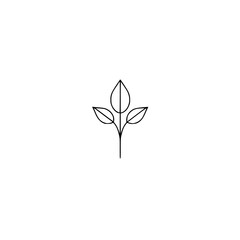 Elegant Minimalist Plant Line Art: Botanical Leaves Illustration, Nature Design, Simple Floral Logo
