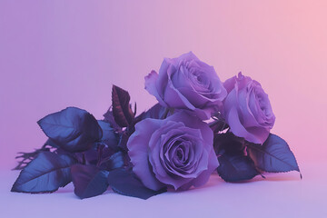 bouquet of pink roses