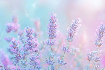 Fototapeta premium Language Learning: Develop a plan with visuals in calming pastel colors like soft pinks, lavenders, and mint greens